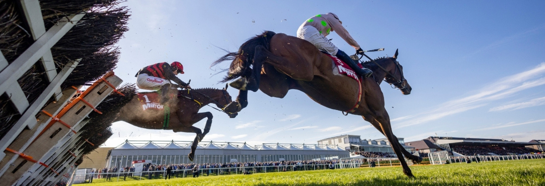 Jump racing - horses jumping over fences