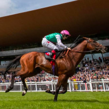 Flat Racing at the Curragh with grandstand in the background